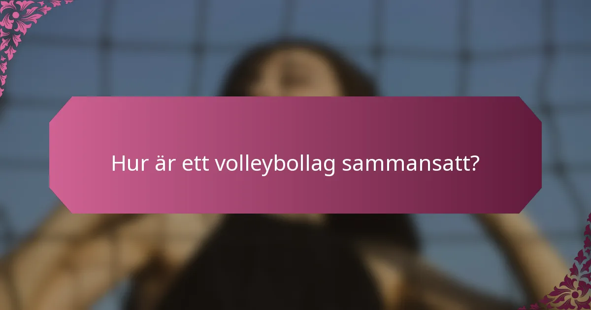 Hur är ett volleybollag sammansatt?