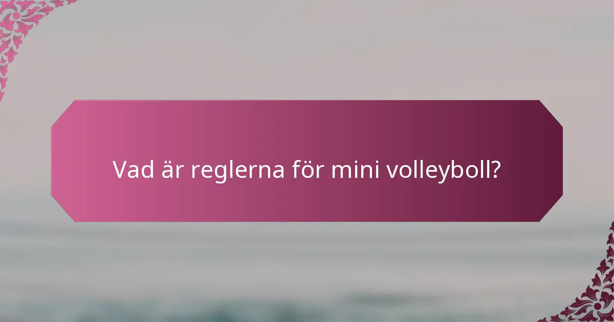 Vad är reglerna för mini volleyboll?
